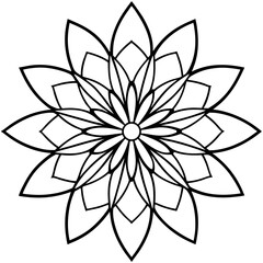 Radiating Flower Petals Forming Symmetrical Damask Burst