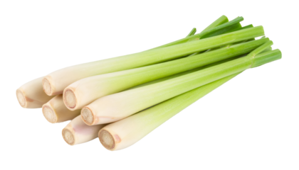 Fresh lemongrass stalks with green top isolated on transparent background, ideal for food and beverage visuals