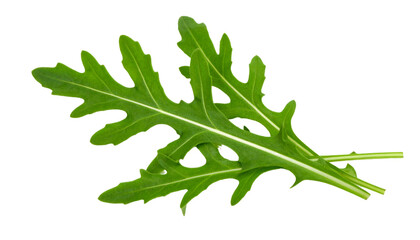 Crisp arugula leaves showcasing vivid green color, detailed texture against transparent backdrop, ideal for nutrition and culinary graphic designs