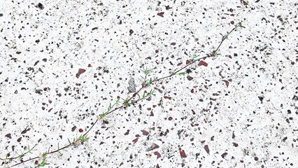 Green Grass Growing on Concrete Surface