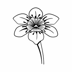 vector illustration of a flower