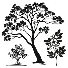 Obraz premium A serene landscape featuring trees and plants in a natural setting