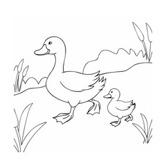 Simple black and white illustration of a duck and duckling on a pond bank