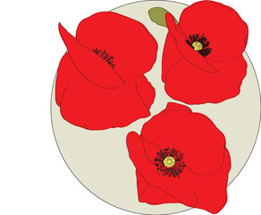 Red poppy flower at different angles