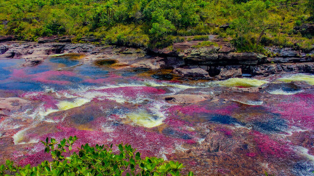 Ca&ntilde;o Cristales is a river in Colombia that is located in the Sierra de la Macarena, in the department of Meta. It is considered by many as the &ldquo;Most Beautiful River in the World&rdquo;