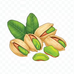 pistachio nuts on white background
