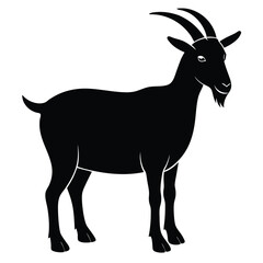 Isolated goat mammal animal with antlers on a clean white background for nature and wildlife illustration