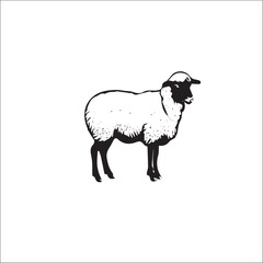 Elegant Navy Ship Icon in Monoline Style.....