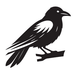 crow isolated vector arts, icons, and graphic illustration with white background.
