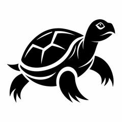 vector illustration of a turtle