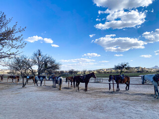 Horse ride during beautiful sunset time in Goreme, Cappadocia - Turkiye 