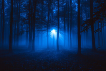 Fototapeta premium Mystical blue forest bathed in ethereal light with foggy shadows creating a surreal cinematic nighttime scene