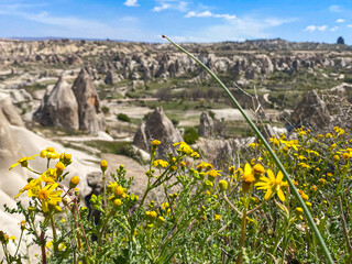 Aerial and panoramic view of the stunning and unique nature and rock formation, fairy chimneys of...