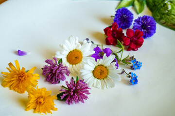 Colorful flower heads lined up on a porcelain plate. The blossoms are often used as edible decorations for dishes.