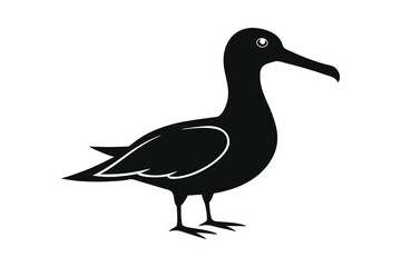 Albatross bird silhouette vector illustration on white background