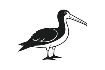 Albatross silhouette on white background