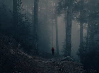 a woman walking in a forest