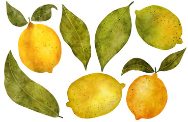 Hand-drawn digital watercolor set with lemons, lemon slices, and green leaves. For packaging, fabric, invitations, and branding. High-quality clipart for  creative projects on white background.