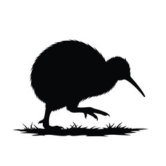 Simple kiwi bird silhouette for wildlife, nature prints, animal logos, and educational or decorative uses.

