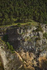 Sheep Grazing Along a Cliffside in a Dense Forest Landscape