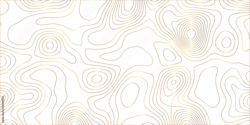 Leinwandbilder Abstract white golden gradient Topographic line map pattern background. Contour elevation topographic and textured Background Modern design with White background with topographic wavy patte.	