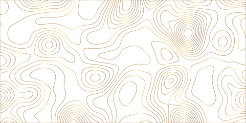 Abstract white golden gradient Topographic line map pattern background. Contour elevation topographic and textured Background Modern design with White background with topographic wavy patte.	
