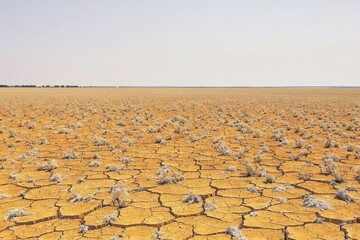 Fototapeta premium Cracked Earth and Sparse Vegetation Under a Bleak, Overcast Sky