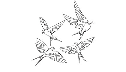 Continuous one single minimal line drawing Swallows birds