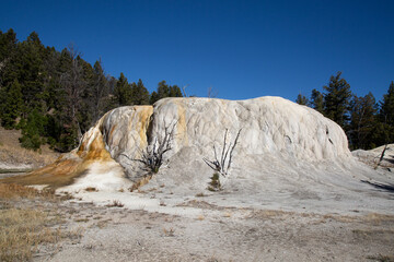 Mammoth hot springs