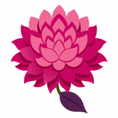 pink flower isolated on white