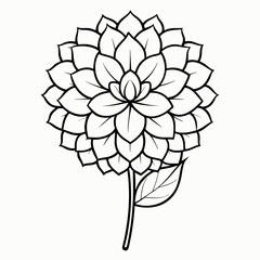 vector illustration of a flower