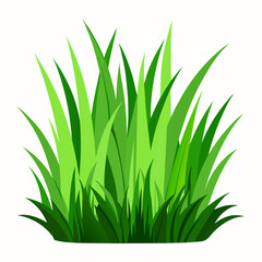 Fototapeta premium Green grass isolated on white background 