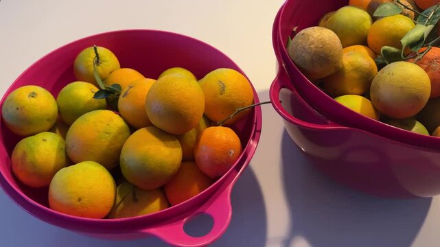 bacia com frutas laranjas e lim&otilde;es 