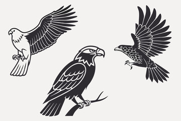 Obraz premium eagle vector illustration