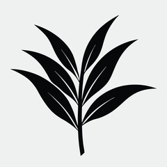 black silhouette of a plant