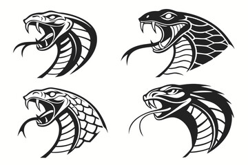 Naklejka premium set of shrimp