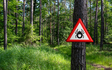 A red and white triangular warning sign depicting a tick is affixed to a tree in a sun-drenched forest, alerting visitors to the presence of these parasites and the risk of tick-borne diseases.