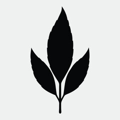 Fototapeta premium green leaves