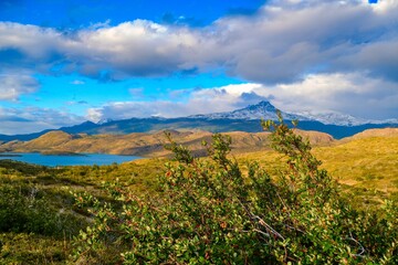 amazing beautiful patagonia nature in summer
