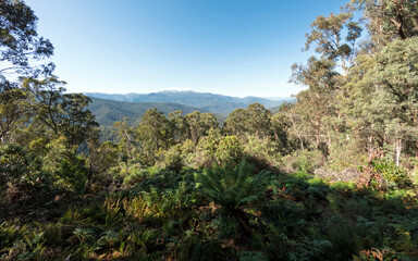 Mount Feathertop Landscape from Razorback Trail in Victoria’s Alpine National Park – Rugged Mountain Peaks with Panoramic Views, High Country, Australia