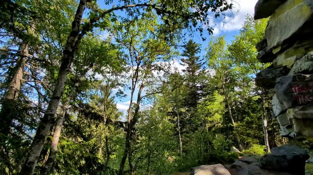 Hiking Tour to the Devils Table in the bavarian Forests Germany