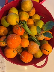 bacia com frutas laranjas e limões 