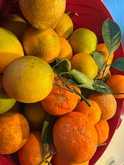 bacia com frutas laranjas e limões 