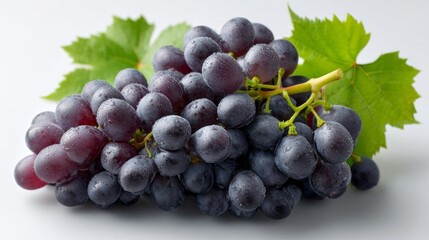 Fresh ripe black grapes glisten with moisture, surrounded by lush green leaves under sunlight. Perfectly ready for picking, these grapes suggest abundance and natural sweetness