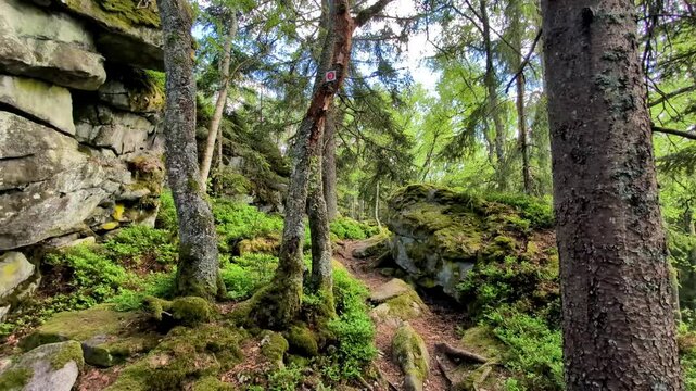 Hiking Tour to the Devils Table in the bavarian Forests Germany