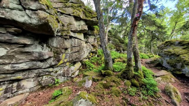 Hiking Tour to the Devils Table in the bavarian Forests Germany