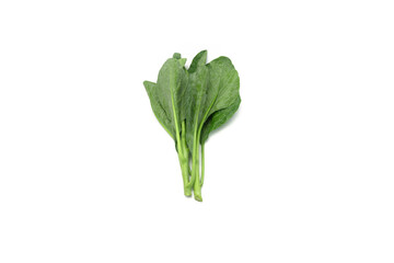 Fresh Chinese Kale Leaves on White Isolated Background