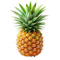 Fototapeta premium Fresh Pineapple: Juicy & Sweet