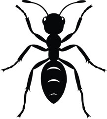 Silhouette Illustration of an Ant with Detailed Anatomy and Precise Outline