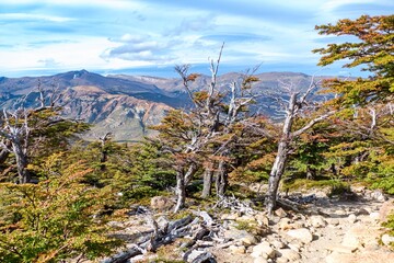 beautiful amazing patagonia nature in south america